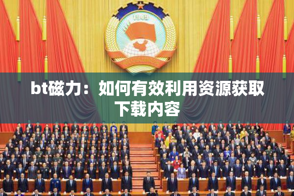 bt磁力：如何有效利用资源获取下载内容