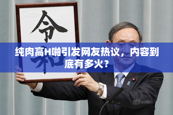 纯肉高H啪引发网友热议，内容到底有多火？