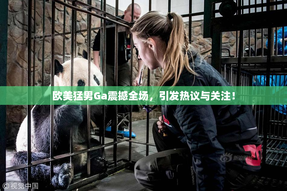 欧美猛男Ga震撼全场，引发热议与关注！