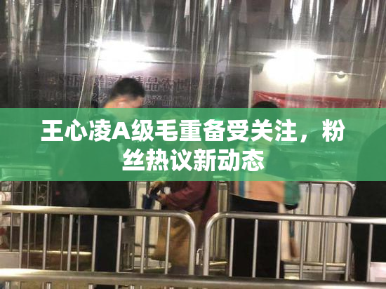 王心凌A级毛重备受关注，粉丝热议新动态