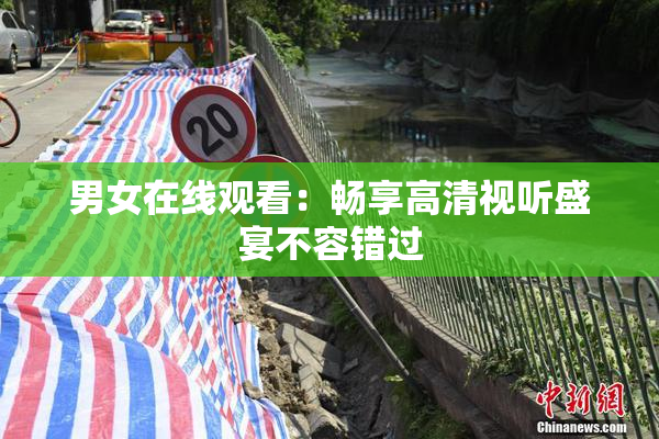 男女在线观看：畅享高清视听盛宴不容错过