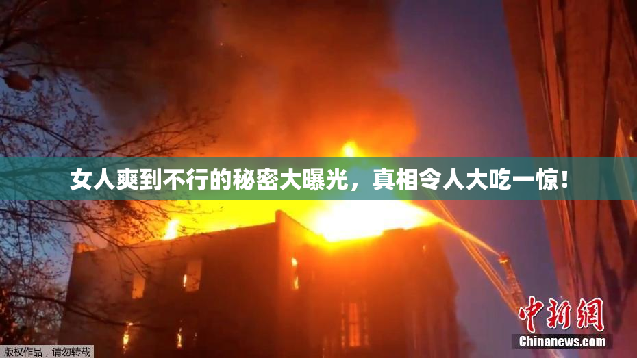女人爽到不行的秘密大曝光，真相令人大吃一惊！