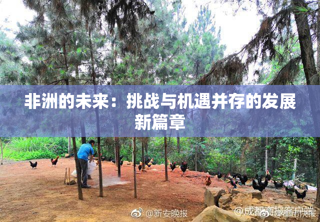 非洲的未来：挑战与机遇并存的发展新篇章