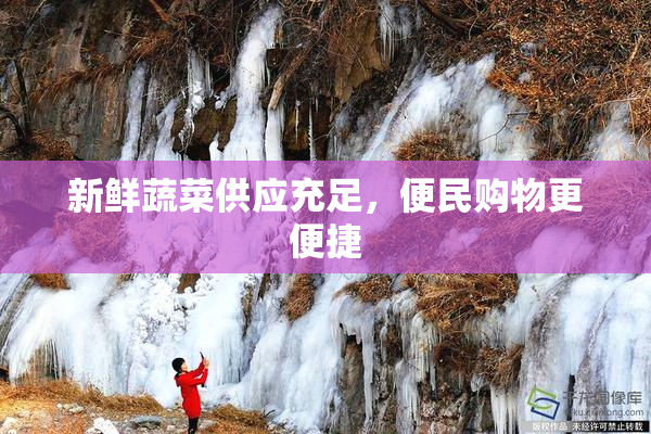 新鲜蔬菜供应充足，便民购物更便捷