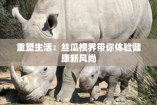 重塑生活：丝瓜视界带你体验健康新风尚