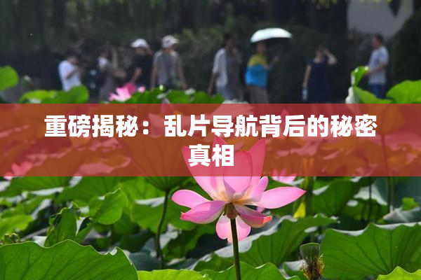 重磅揭秘：乱片导航背后的秘密真相