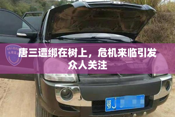 唐三遭绑在树上，危机来临引发众人关注