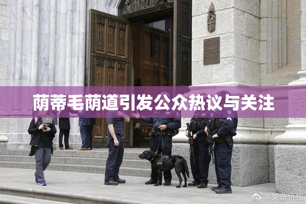 荫蒂毛荫道引发公众热议与关注