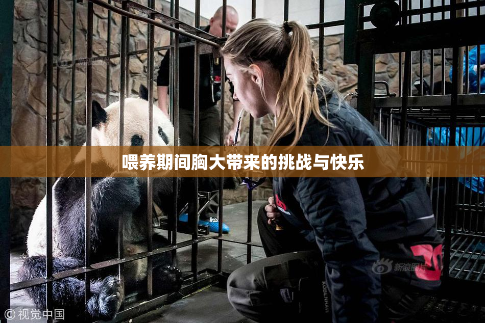 喂养期间胸大带来的挑战与快乐