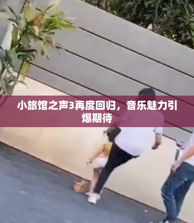 小旅馆之声3再度回归，音乐魅力引爆期待