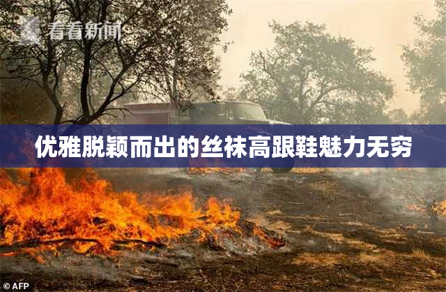 优雅脱颖而出的丝袜高跟鞋魅力无穷