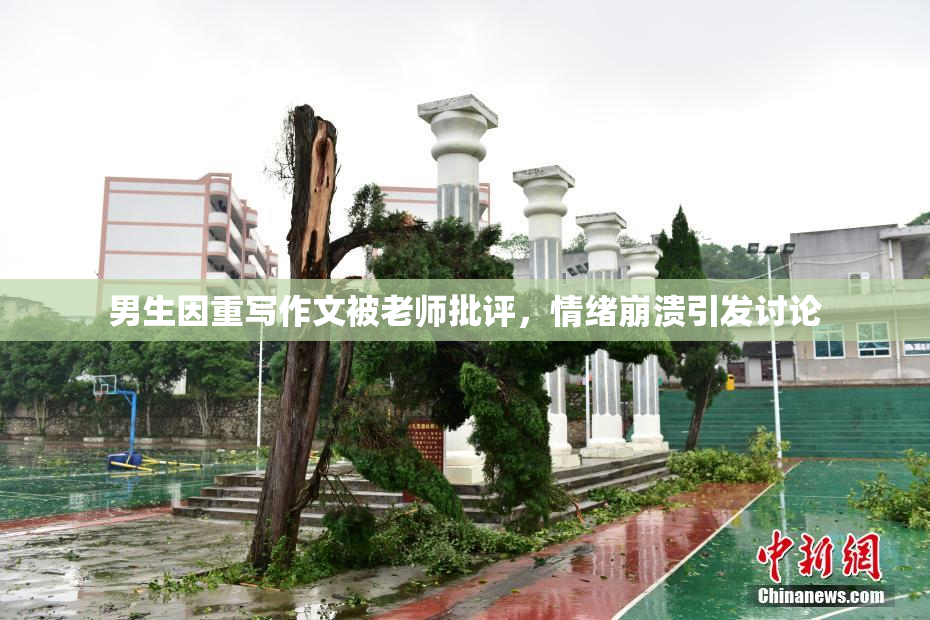 男生因重写作文被老师批评，情绪崩溃引发讨论