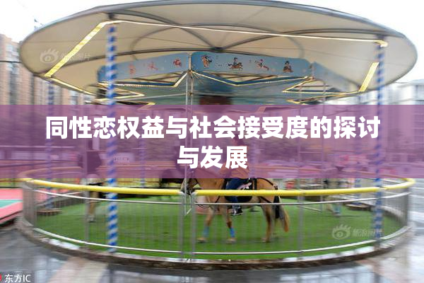 同性恋权益与社会接受度的探讨与发展