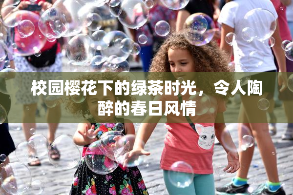 校园樱花下的绿茶时光，令人陶醉的春日风情