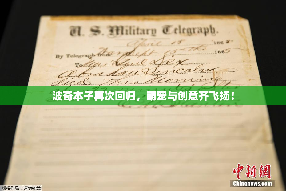 波奇本子再次回归，萌宠与创意齐飞扬！