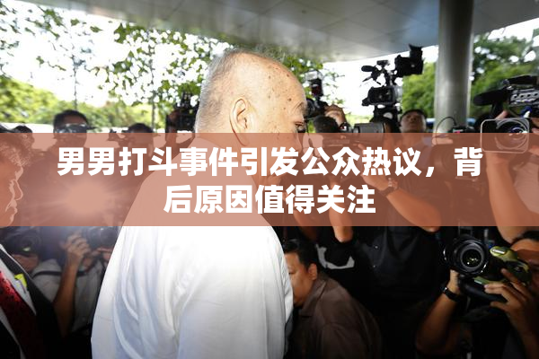 男男打斗事件引发公众热议，背后原因值得关注