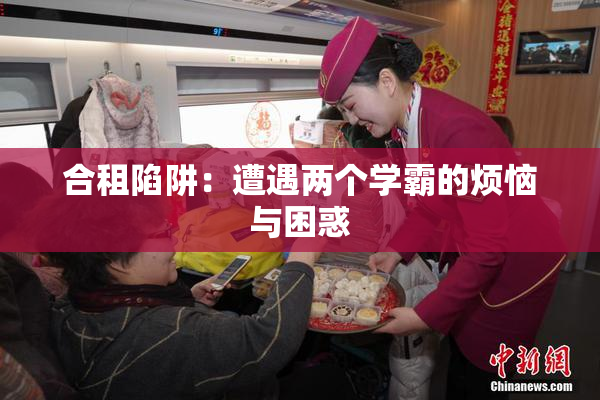 合租陷阱：遭遇两个学霸的烦恼与困惑