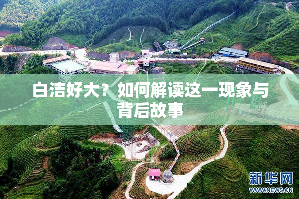 白洁好大？如何解读这一现象与背后故事