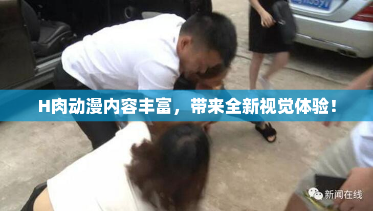 H肉动漫内容丰富，带来全新视觉体验！