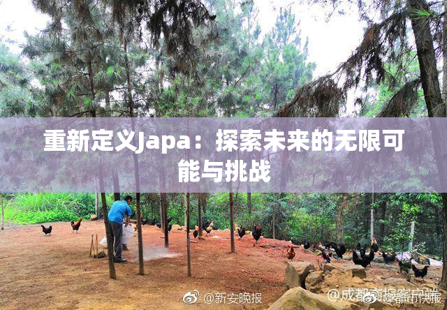 重新定义Japa：探索未来的无限可能与挑战