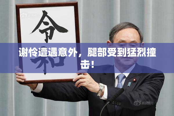 谢怜遭遇意外，腿部受到猛烈撞击！