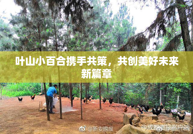 叶山小百合携手共策，共创美好未来新篇章