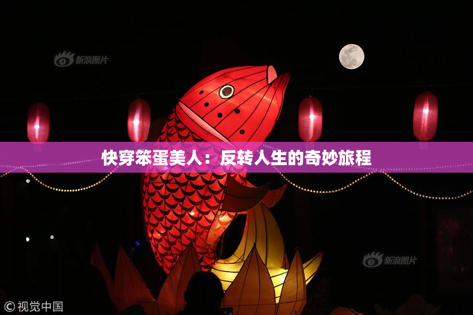 快穿笨蛋美人：反转人生的奇妙旅程