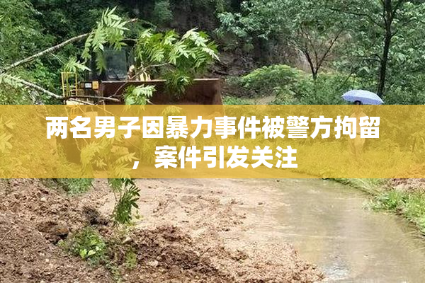 两名男子因暴力事件被警方拘留，案件引发关注