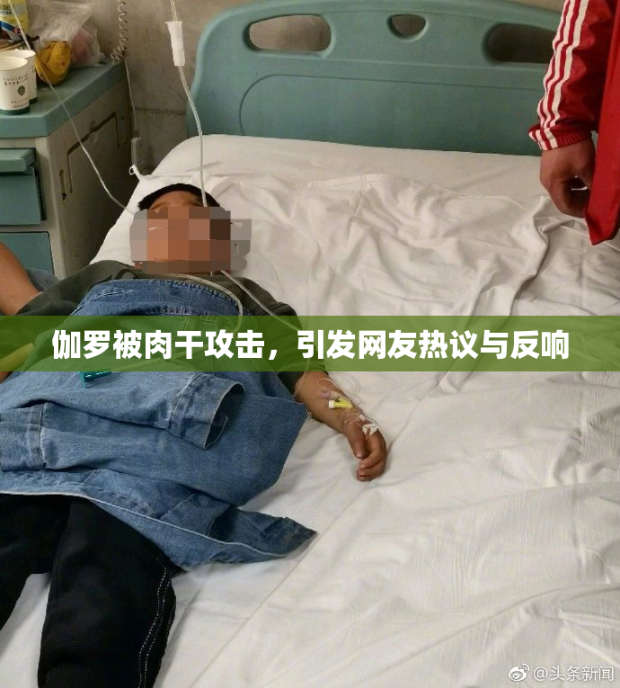 伽罗被肉干攻击，引发网友热议与反响