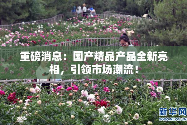 重磅消息：国产精品产品全新亮相，引领市场潮流！