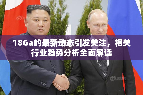 18Ga的最新动态引发关注，相关行业趋势分析全面解读