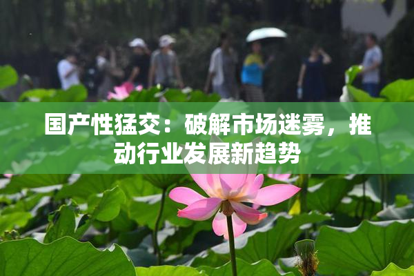 国产性猛交：破解市场迷雾，推动行业发展新趋势