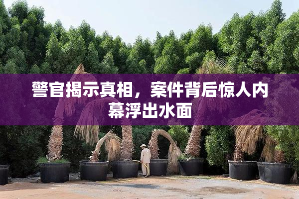 警官揭示真相，案件背后惊人内幕浮出水面
