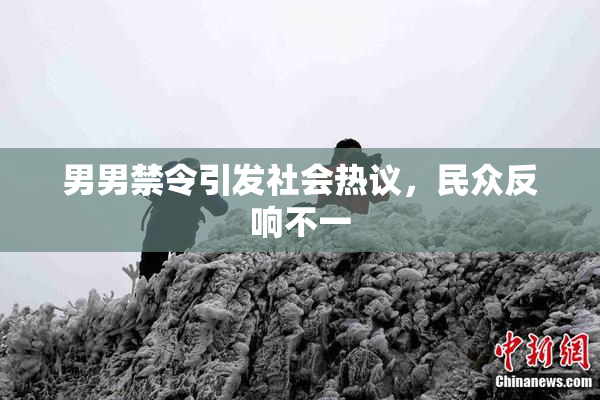 男男禁令引发社会热议，民众反响不一