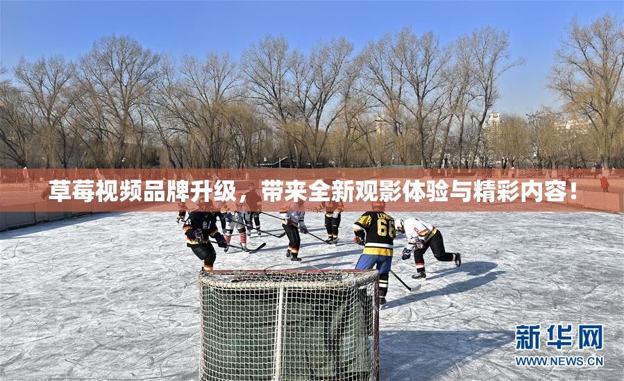 草莓视频品牌升级，带来全新观影体验与精彩内容！