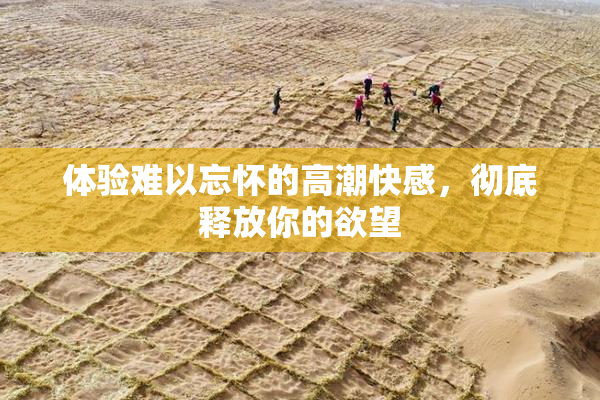 体验难以忘怀的高潮快感，彻底释放你的欲望