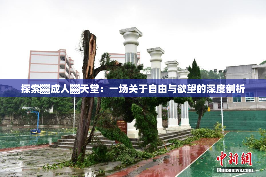 探索▓成人▓天堂：一场关于自由与欲望的深度剖析