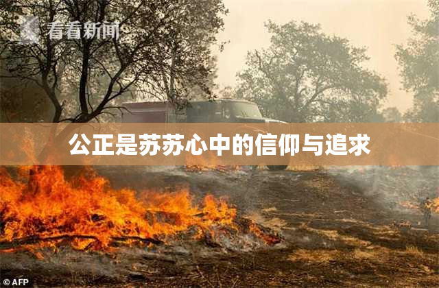 公正是苏苏心中的信仰与追求