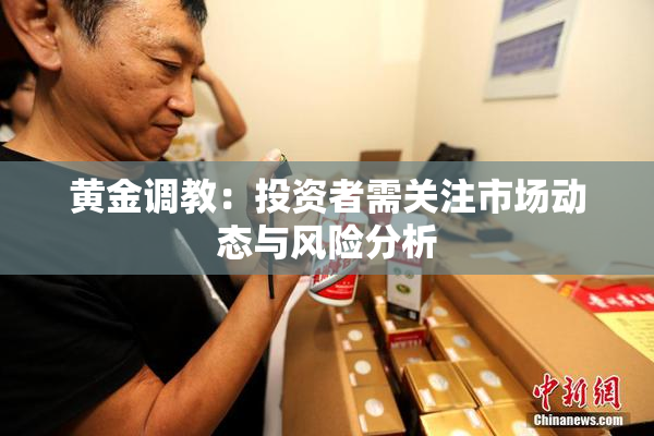 黄金调教：投资者需关注市场动态与风险分析