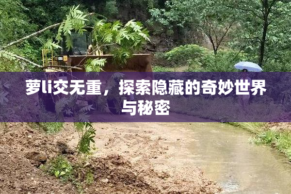 萝li交无重，探索隐藏的奇妙世界与秘密
