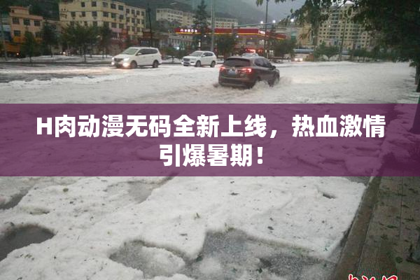 H肉动漫无码全新上线，热血激情引爆暑期！