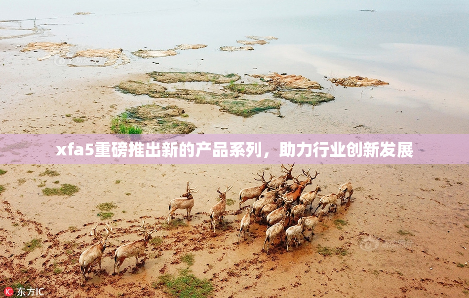 xfa5重磅推出新的产品系列，助力行业创新发展
