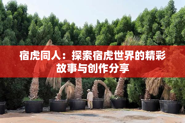 宿虎同人：探索宿虎世界的精彩故事与创作分享