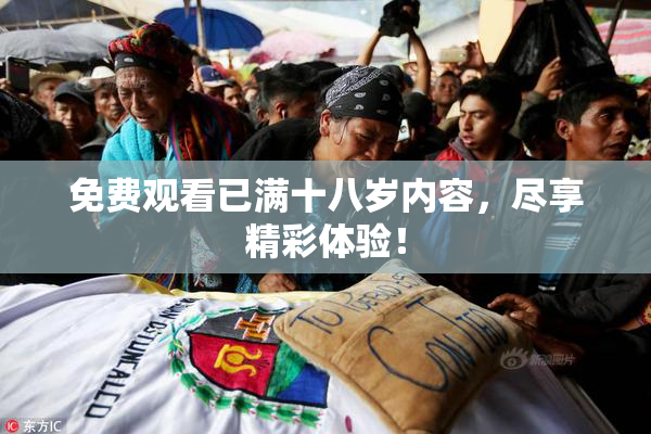 免费观看已满十八岁内容，尽享精彩体验！