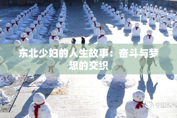 东北少妇的人生故事：奋斗与梦想的交织