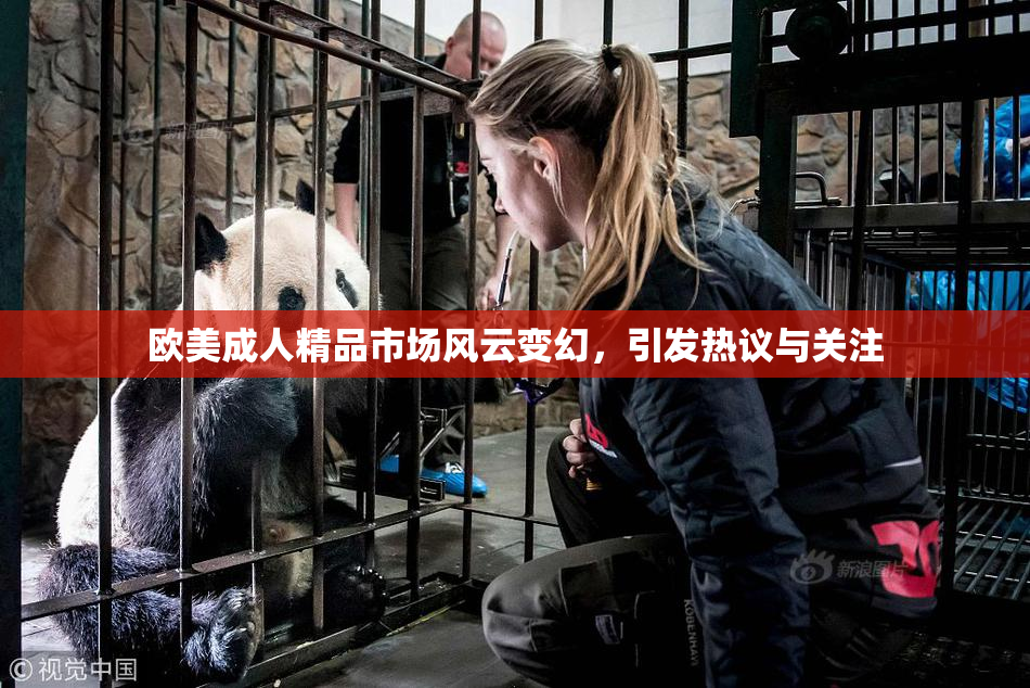 欧美成人精品市场风云变幻，引发热议与关注