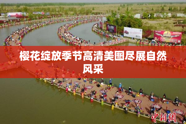 樱花绽放季节高清美图尽展自然风采