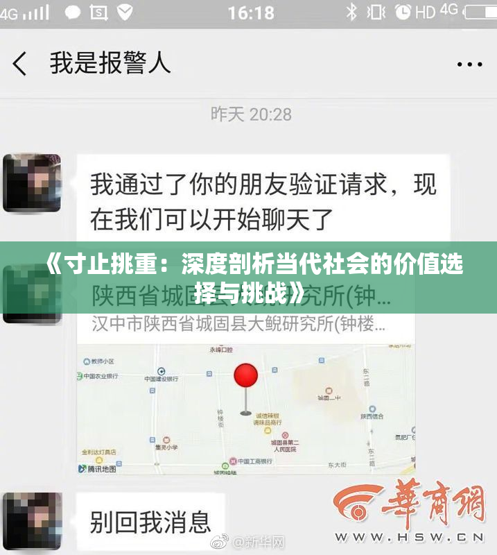 《寸止挑重：深度剖析当代社会的价值选择与挑战》