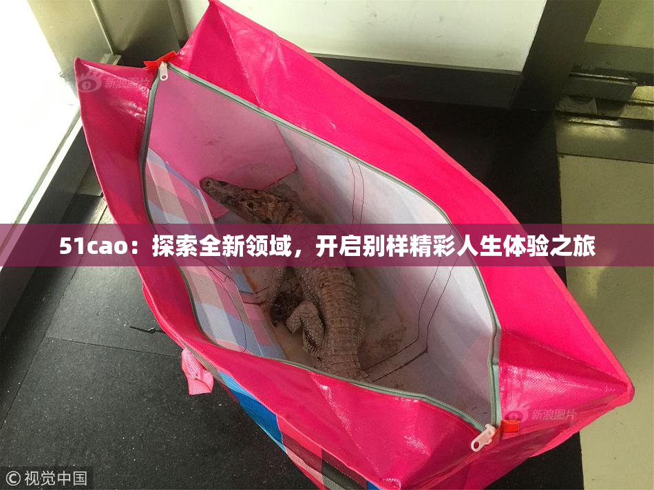 51cao：探索全新领域，开启别样精彩人生体验之旅