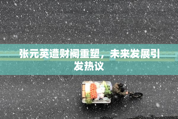 张元英遭财阀重塑，未来发展引发热议